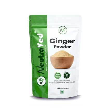 Ginger Powder image 1